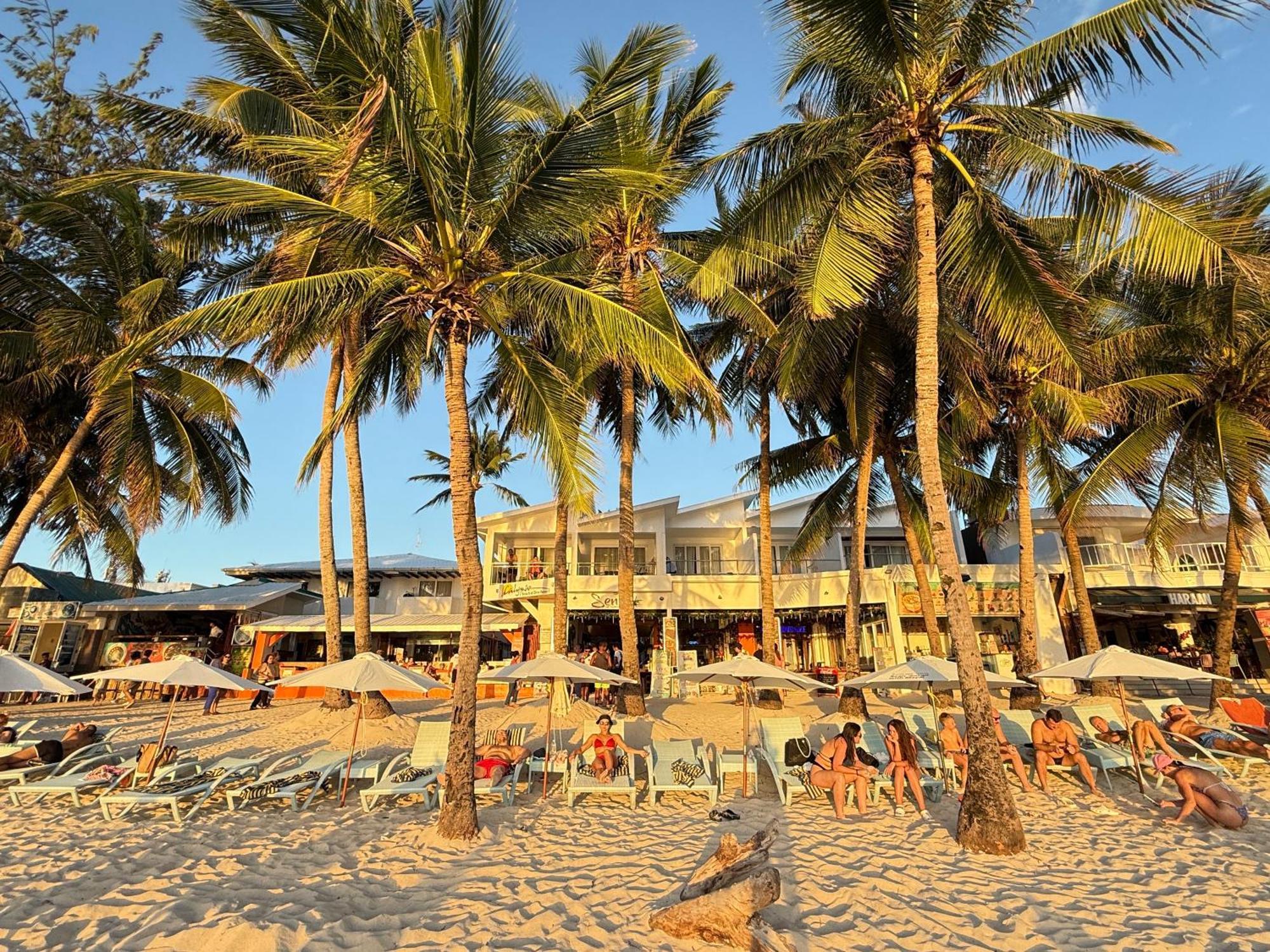 Calypso Beach And Dive Resort Manoc-Manoc Exteriör bild